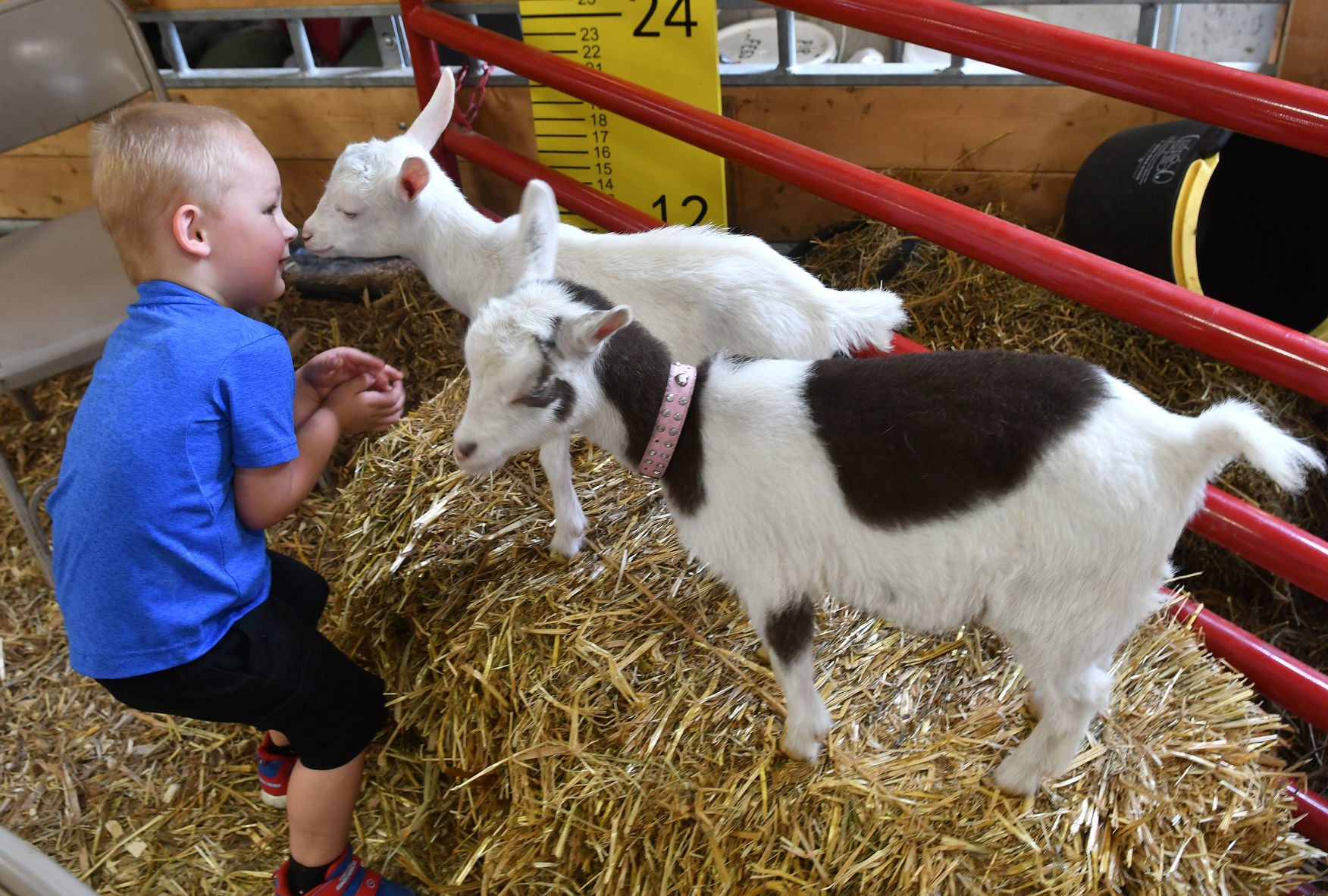 Day 5 of the Mississippi Valley Fair